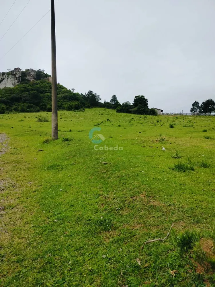 Terreno, 2 hectares - Foto 1