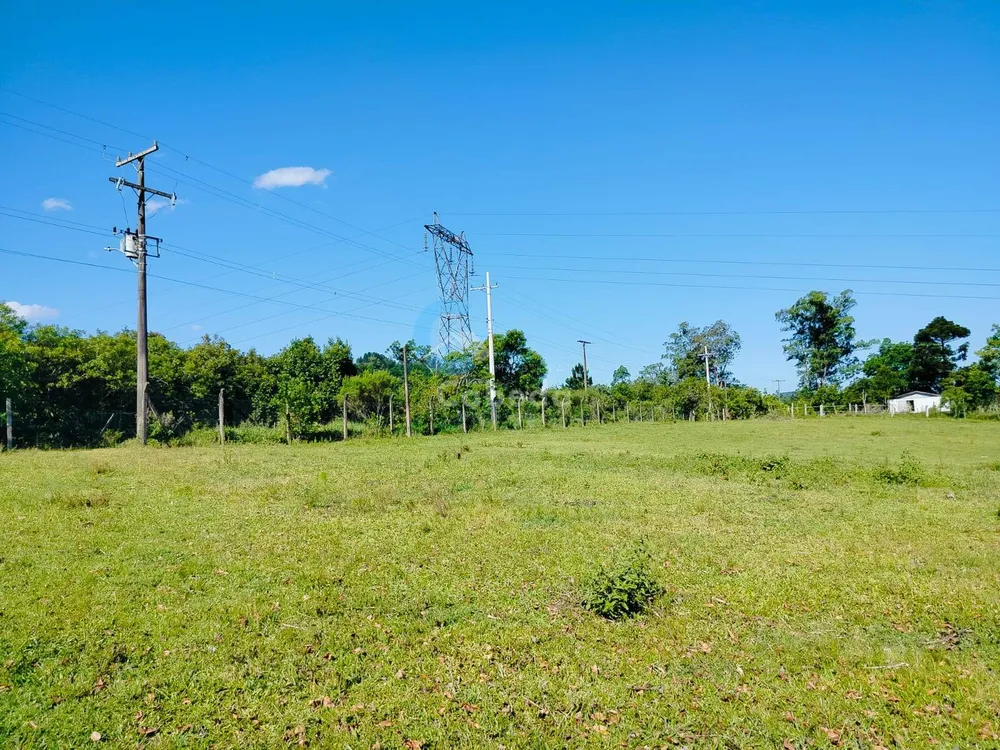 Terreno, 2 hectares - Foto 6
