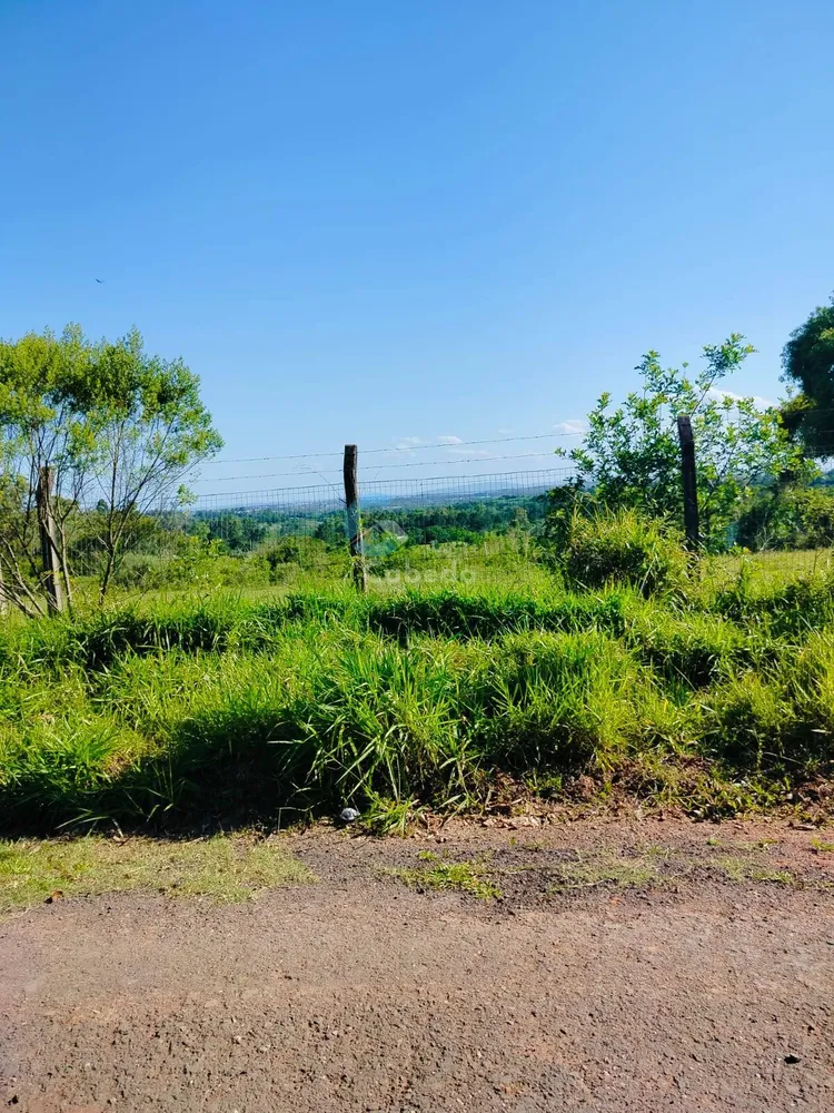 Terreno, 2 hectares - Foto 4