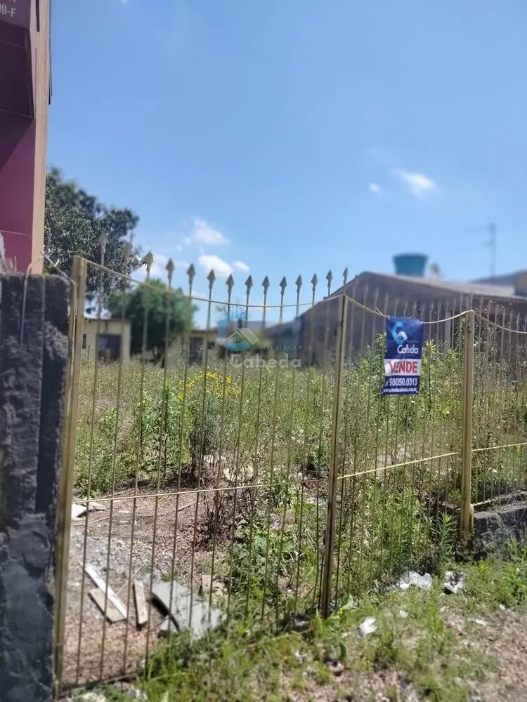 Terreno, 300 m² - Foto 4