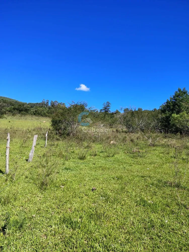 Terreno, 10 hectares - Foto 2