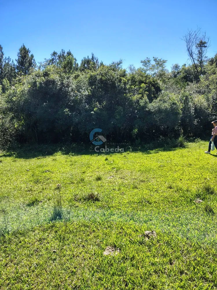 Terreno, 10 hectares - Foto 2