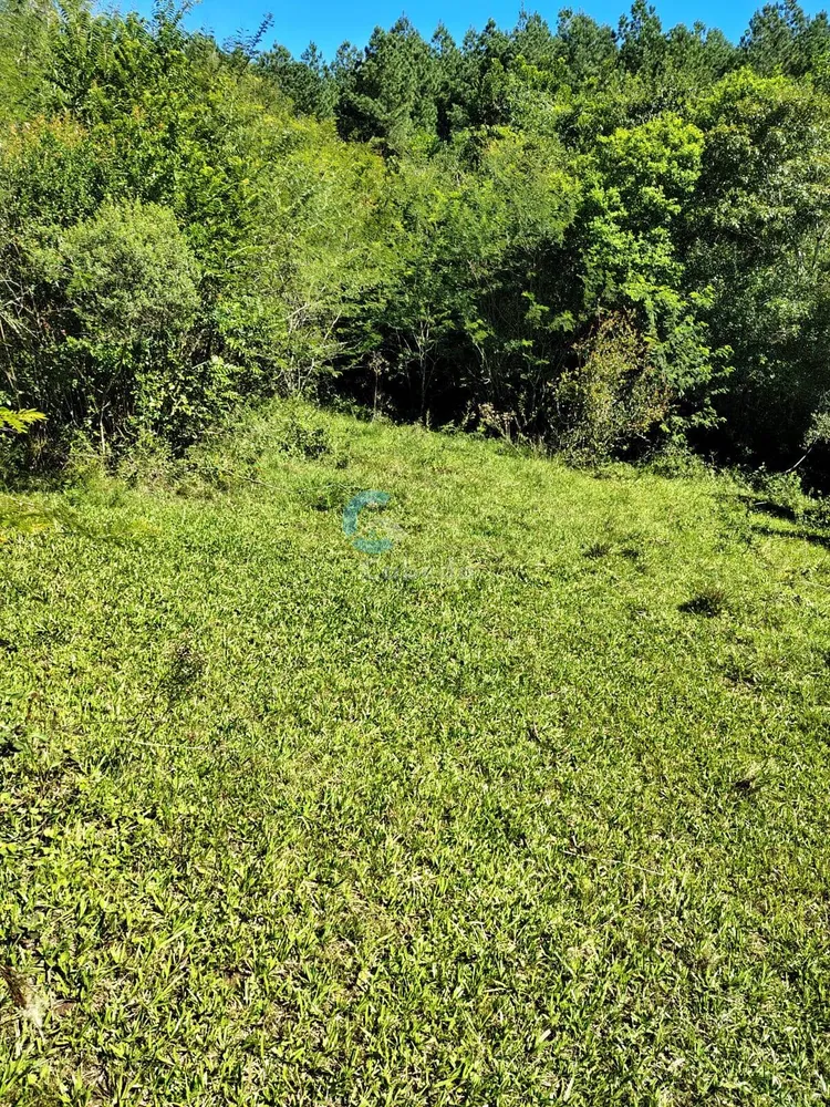 Terreno, 10 hectares - Foto 6