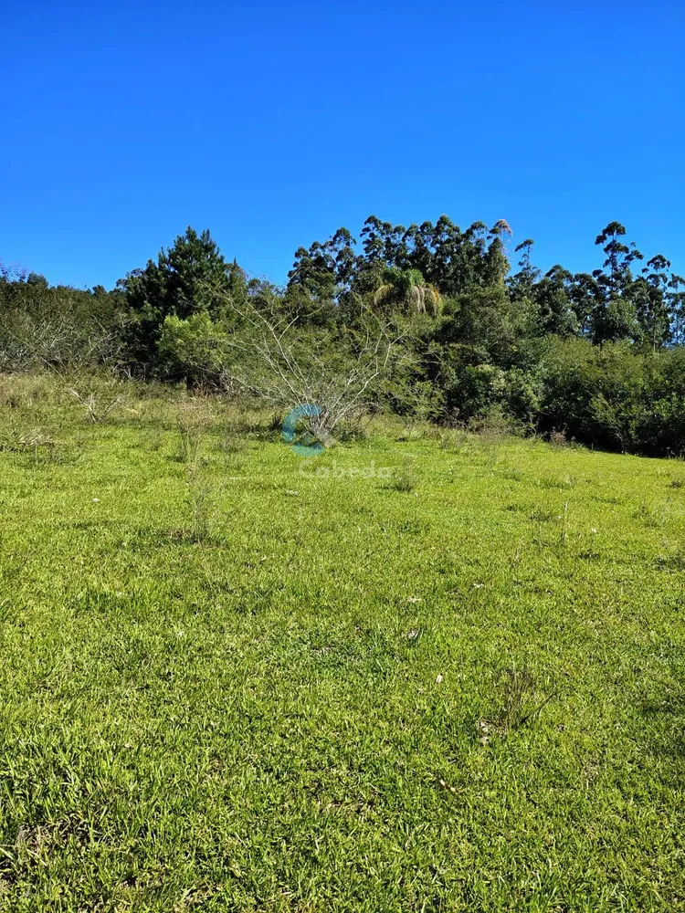 Terreno, 10 hectares - Foto 1