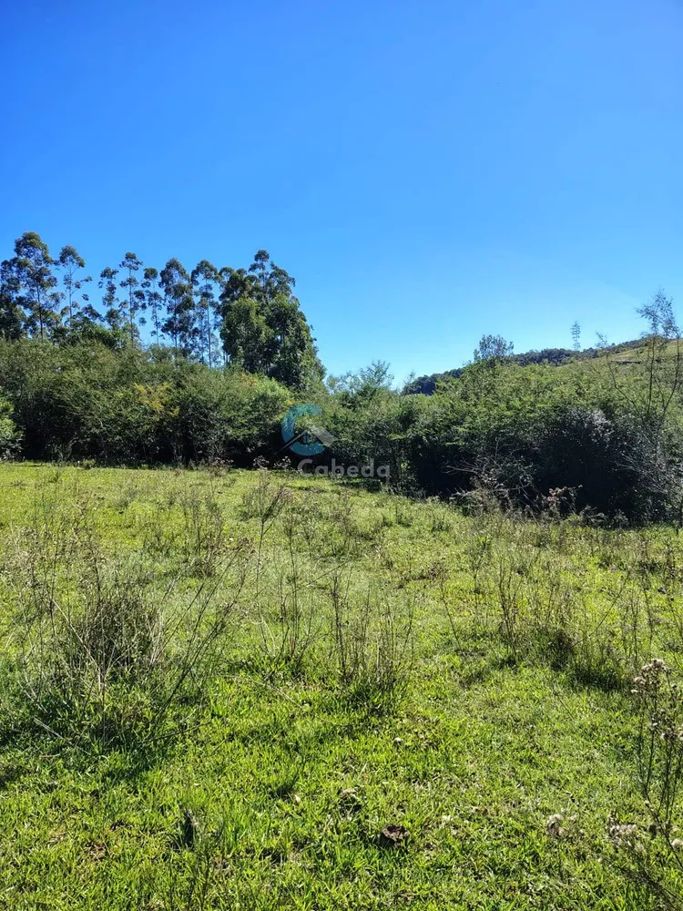Terreno, 10 hectares - Foto 4