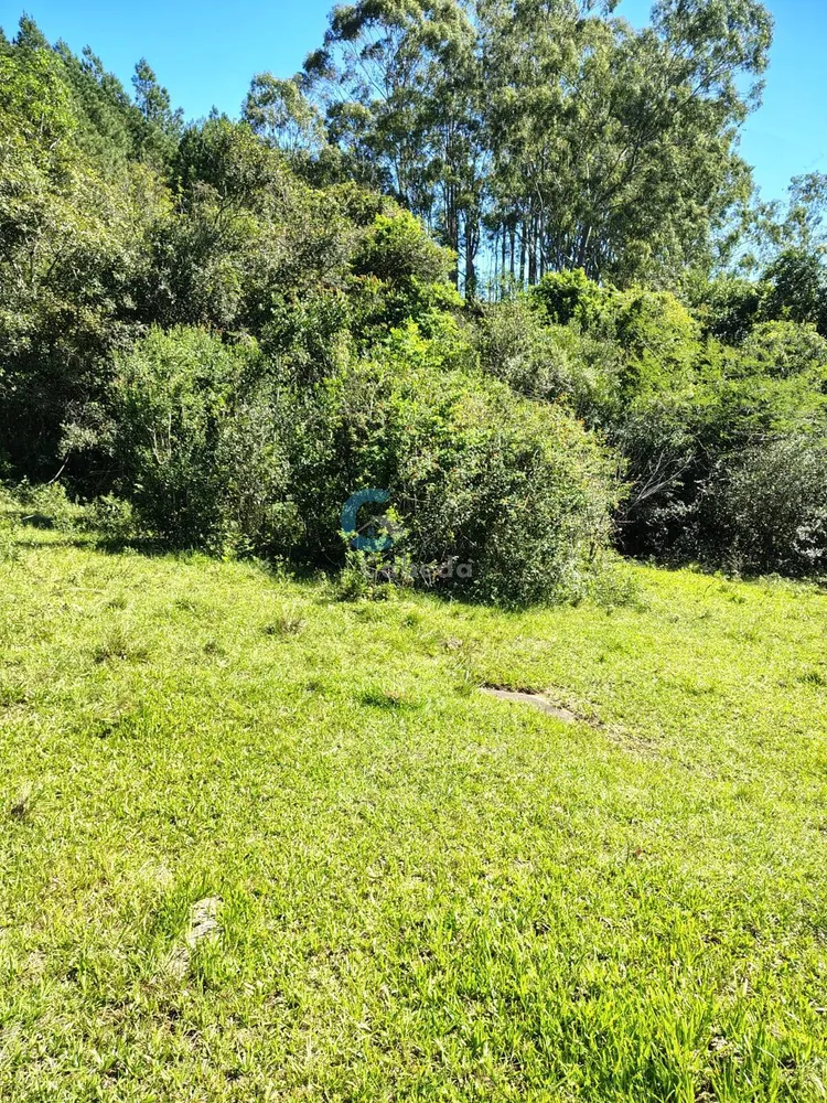 Terreno, 10 hectares - Foto 3