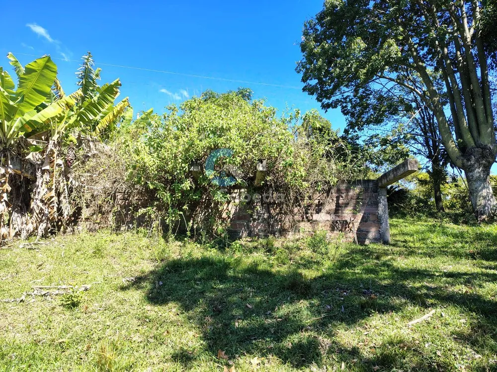 Terreno, 10 hectares - Foto 3