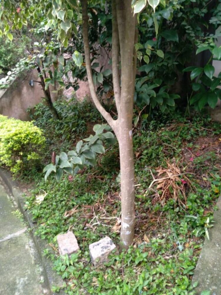 Casa, 2 quartos, 55 m² - Foto 5