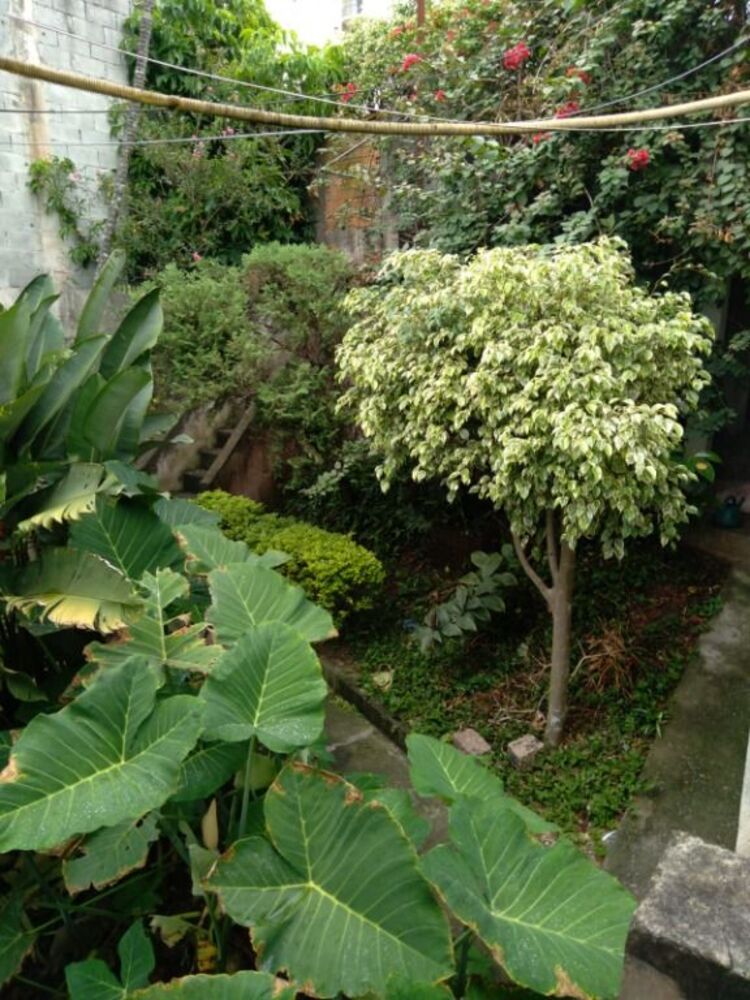 Casa, 2 quartos, 55 m² - Foto 4