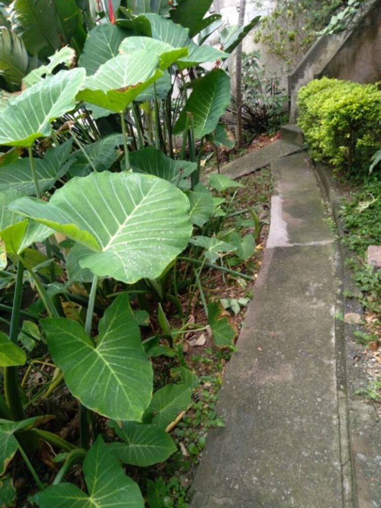 Casa, 2 quartos, 55 m² - Foto 3