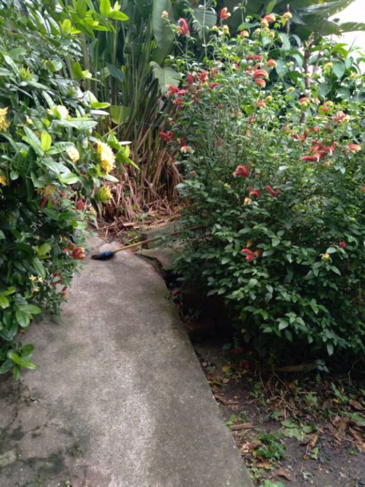 Casa, 2 quartos, 55 m² - Foto 6