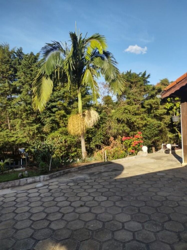 Chácara, 4 quartos, 2442 m² - Foto 8