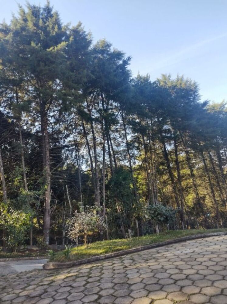Chácara, 4 quartos, 2442 m² - Foto 9