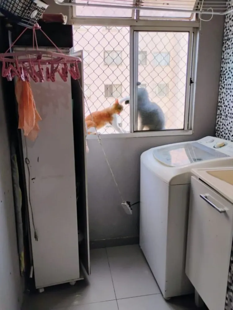 Apartamento, 2 quartos, 50 m² - Foto 4