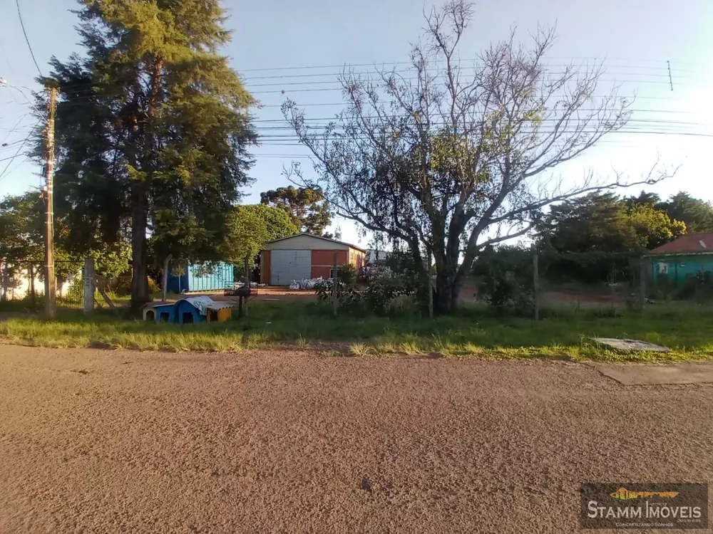 Depósito-Galpão - Foto 2