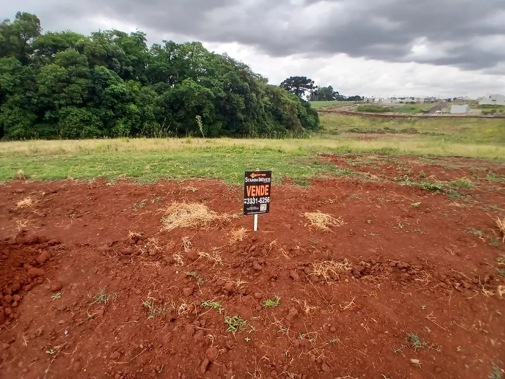 Terreno, 300 m² - Foto 4