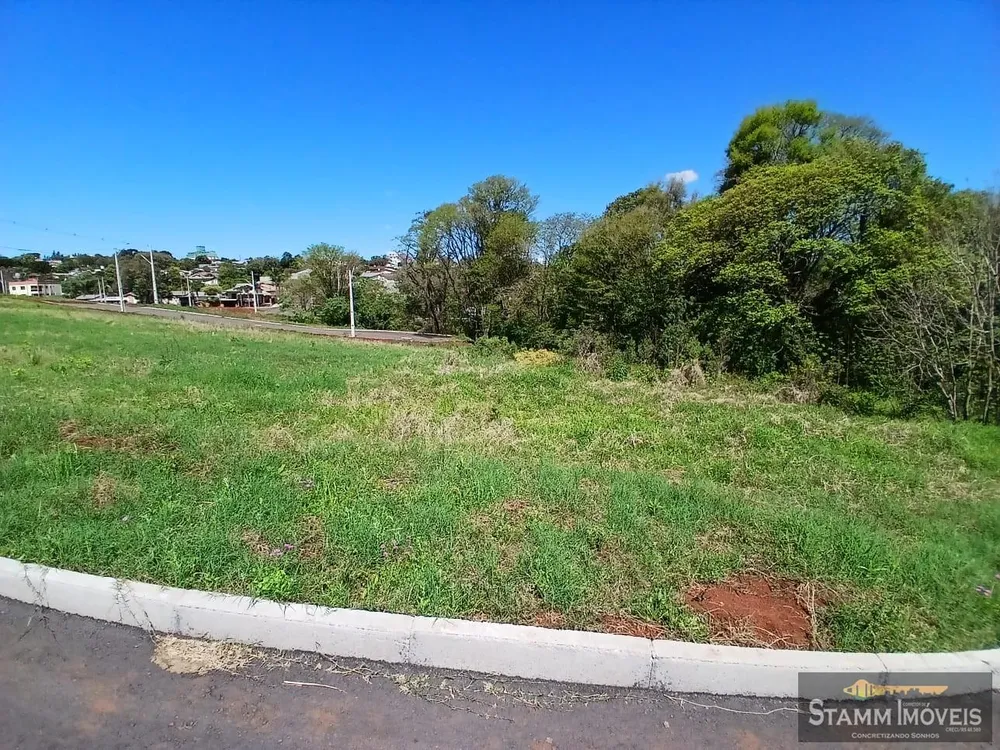 Terreno, 300 m² - Foto 6