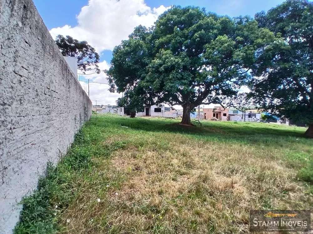 Terreno, 300 m² - Foto 4