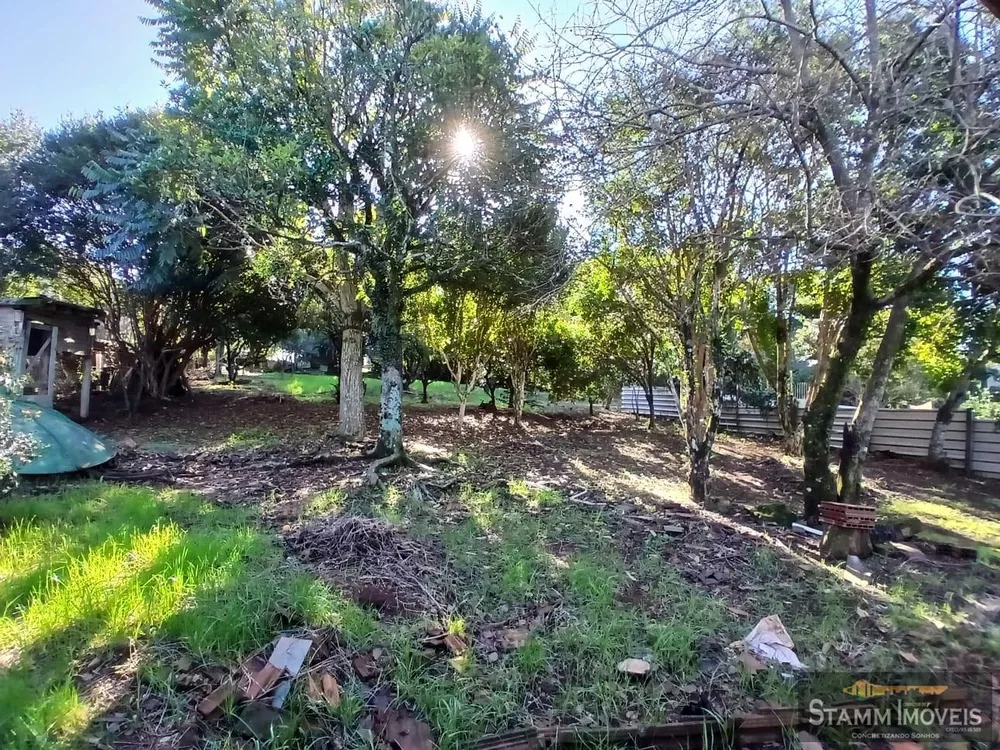 Terreno, 1457 m² - Foto 3