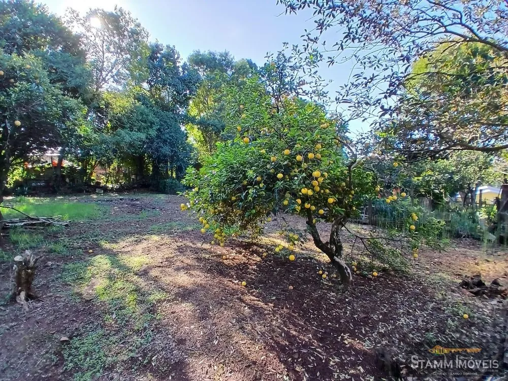 Terreno, 1457 m² - Foto 4