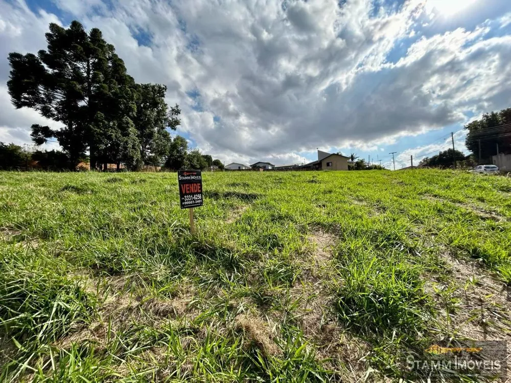 Terreno, 2537 m² - Foto 3