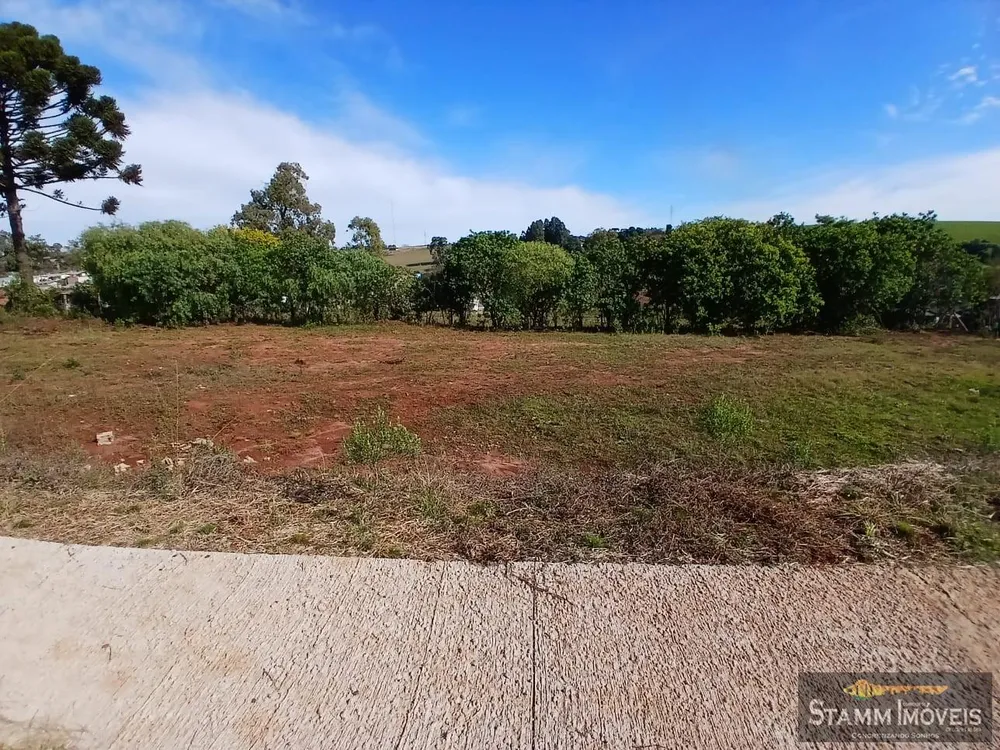 Terreno, 233 m² - Foto 4