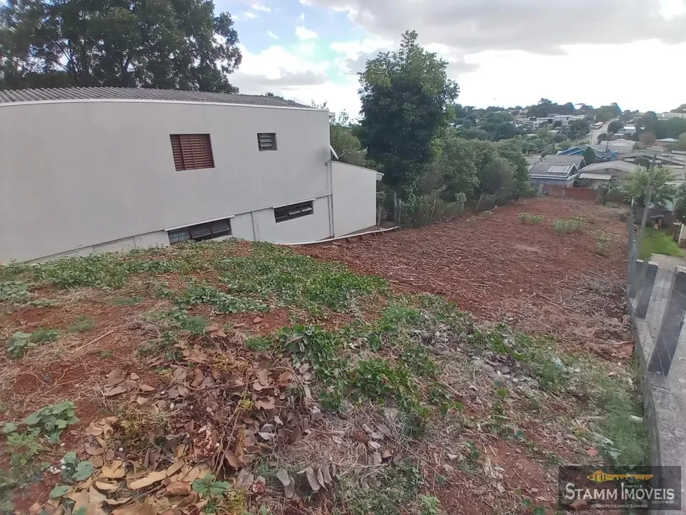 Terreno, 250 m² - Foto 6