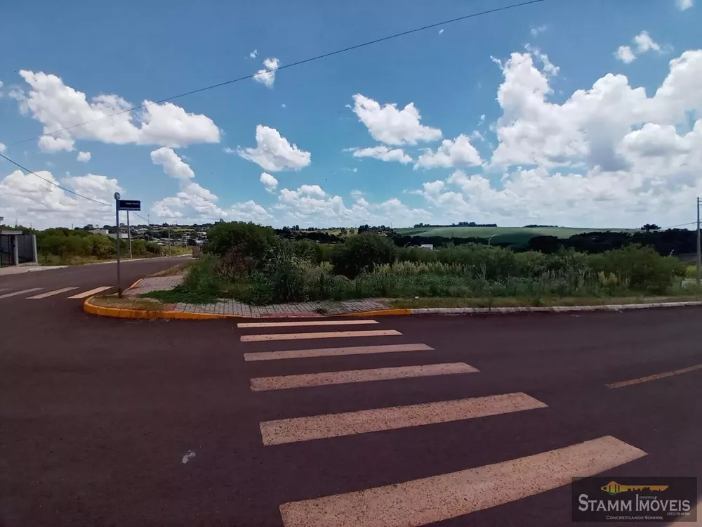 Terreno, 300 m² - Foto 3