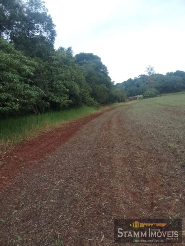 Chácara, 3 quartos, 2 m² - Foto 8