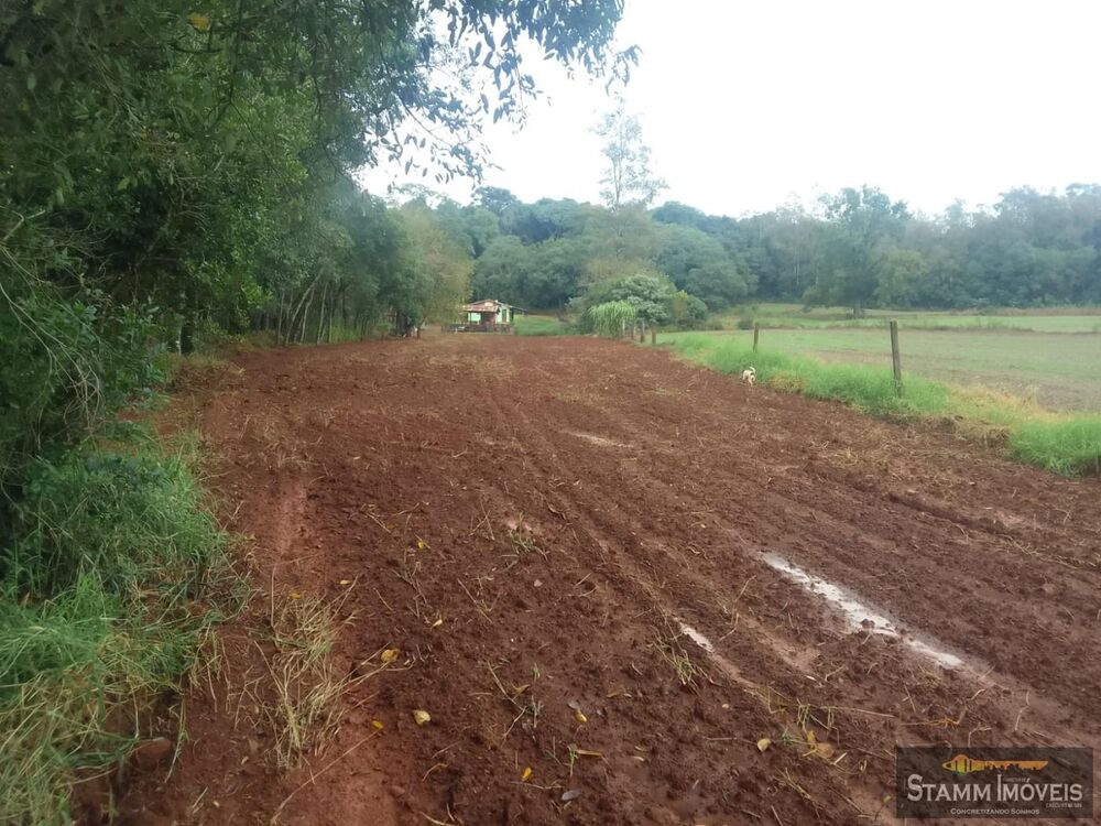 Chácara, 3 quartos, 2 m² - Foto 5