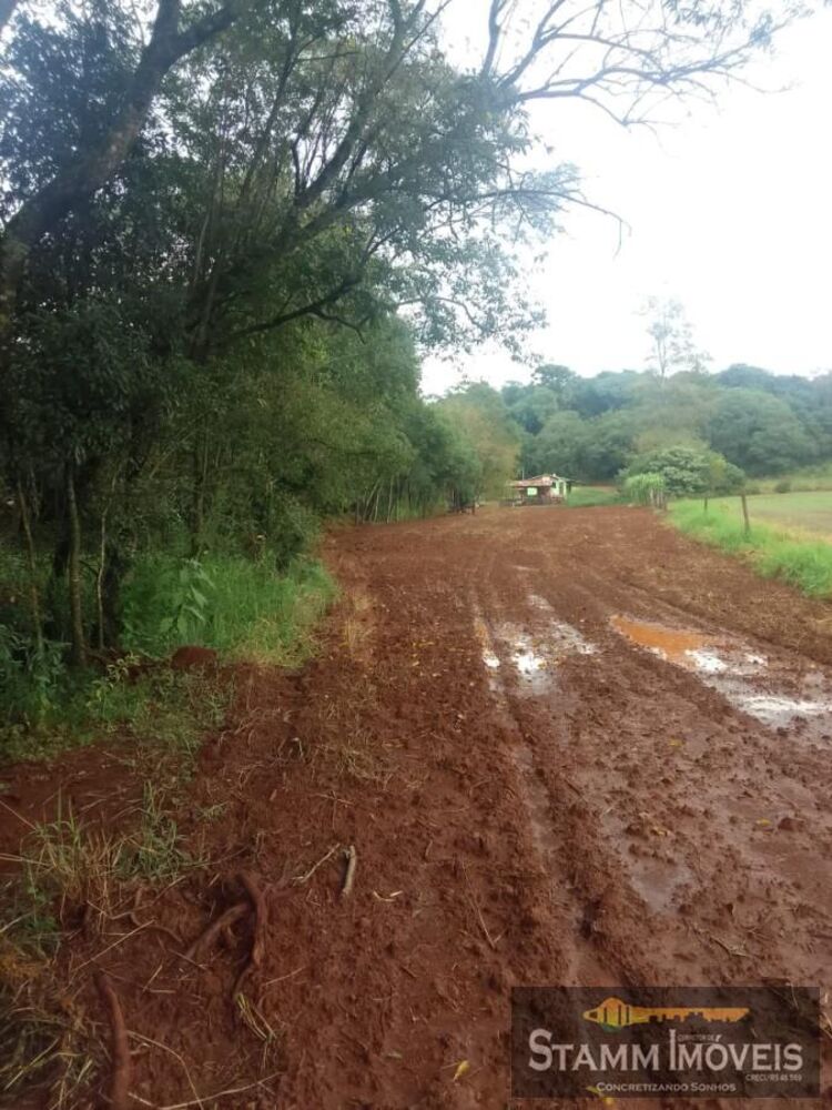 Chácara, 3 quartos, 2 m² - Foto 6