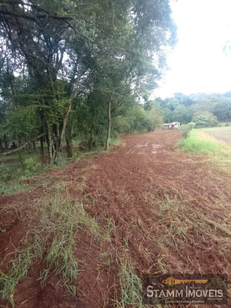 Chácara, 3 quartos, 2 m² - Foto 7