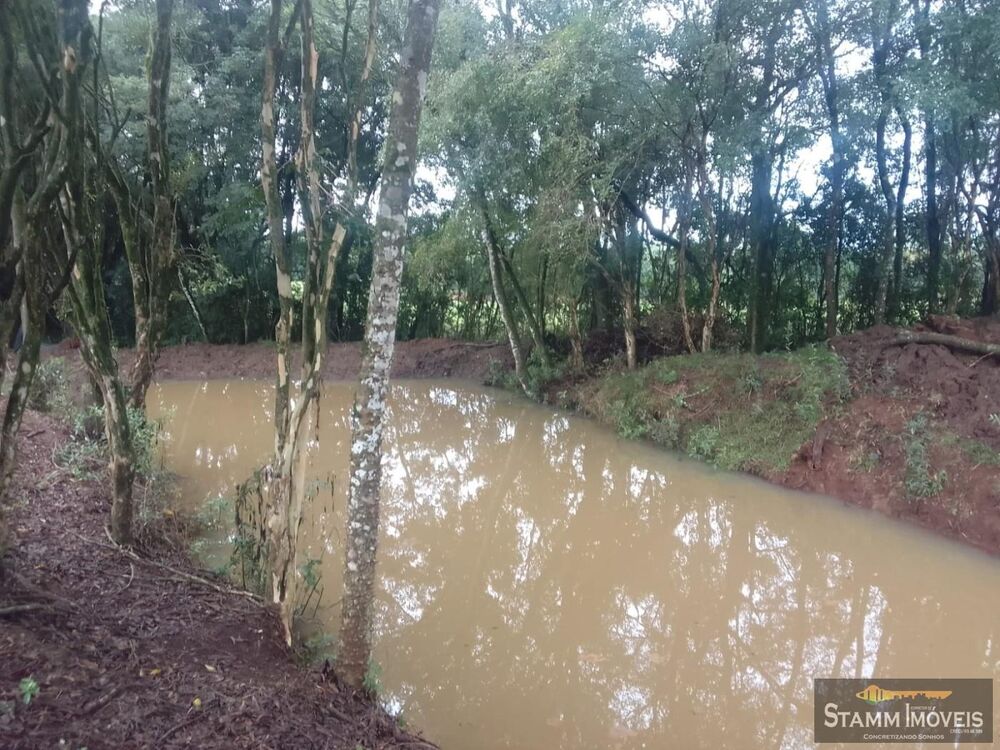 Chácara, 3 quartos, 2 m² - Foto 13