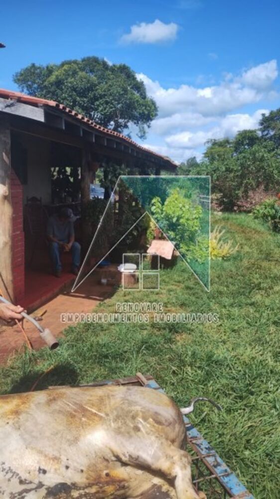 Sítio à venda com 3 quartos - Foto 11
