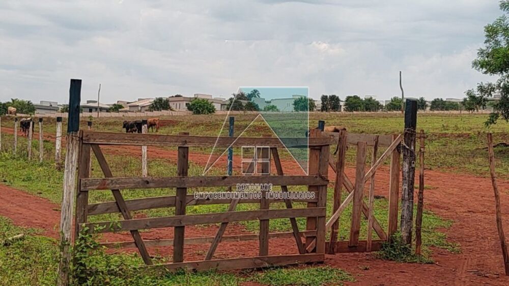 Fazenda - Foto 4