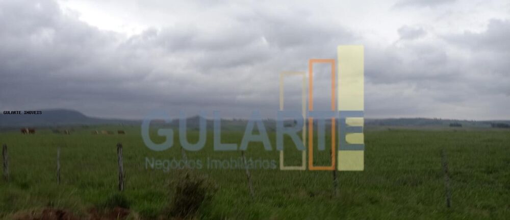 Fazenda, 1489 hectares - Foto 8