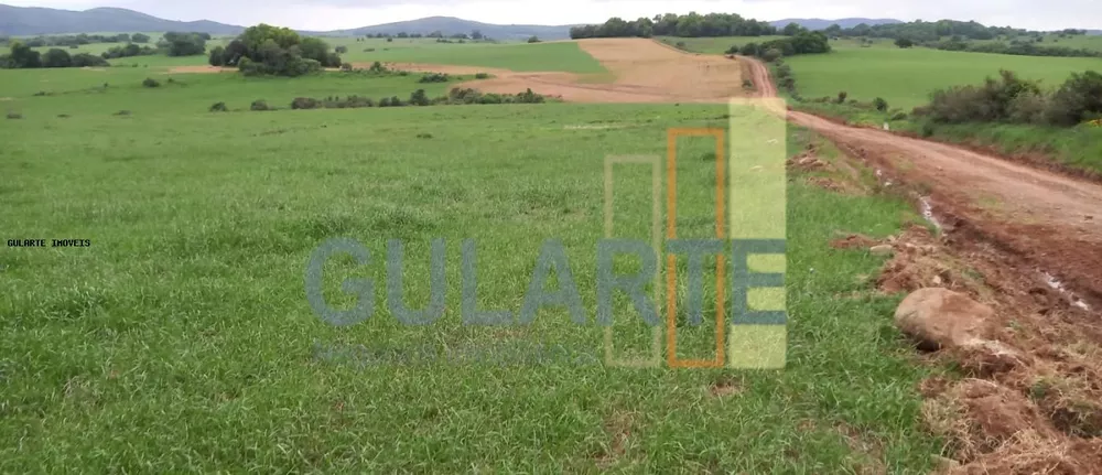 Fazenda, 1489 hectares - Foto 4