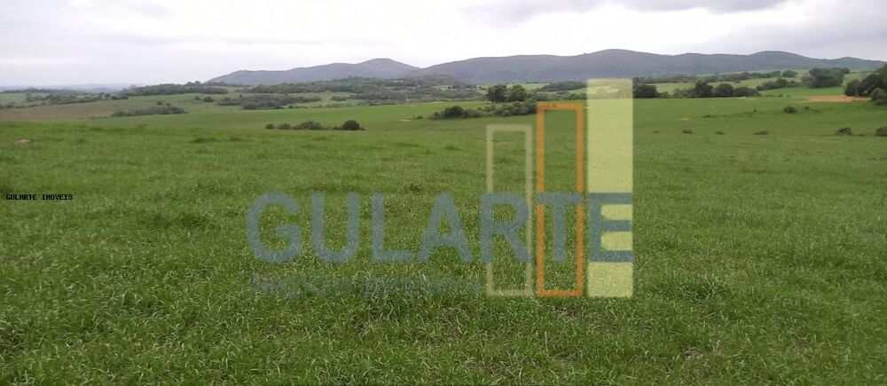 Fazenda, 1489 hectares - Foto 2