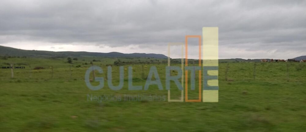 Fazenda, 1489 hectares - Foto 7