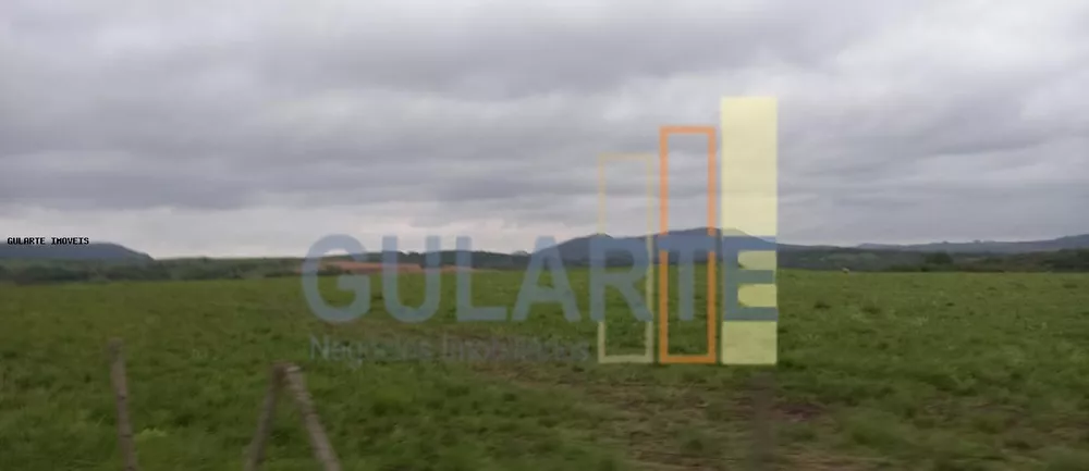 Fazenda, 1489 hectares - Foto 5