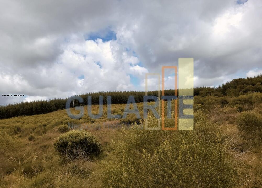 Fazenda à venda, 1195m² - Foto 3