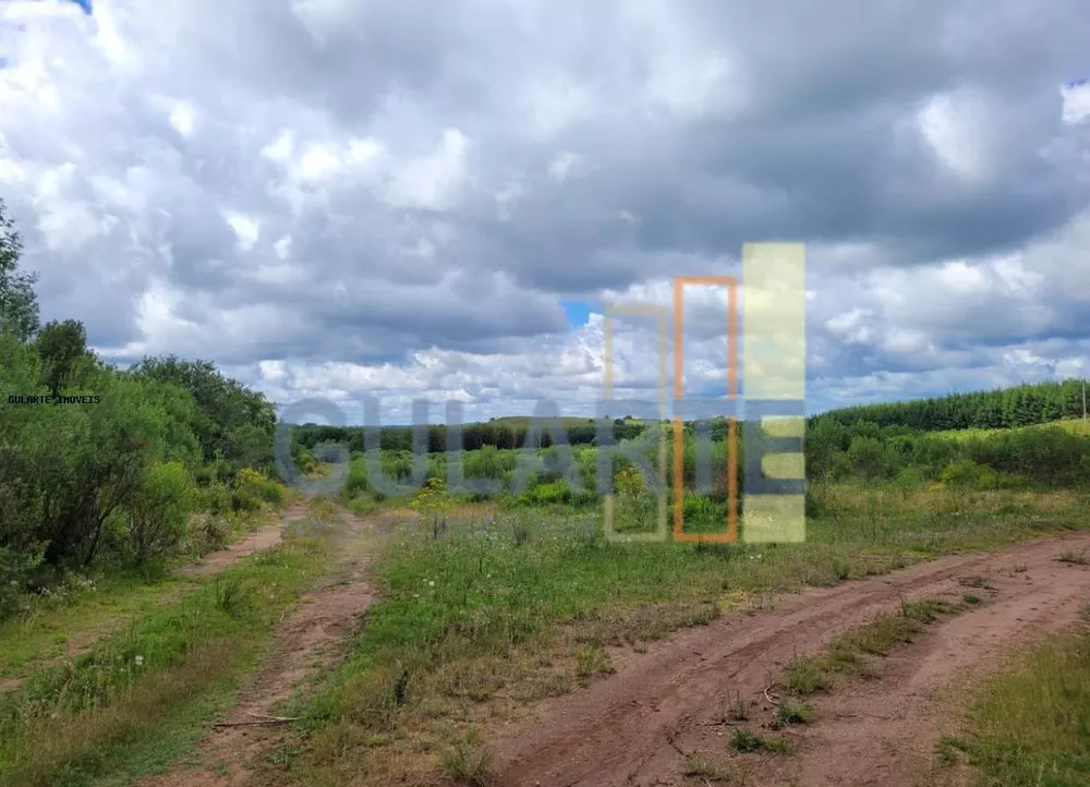 Fazenda, 1195 hectares - Foto 7