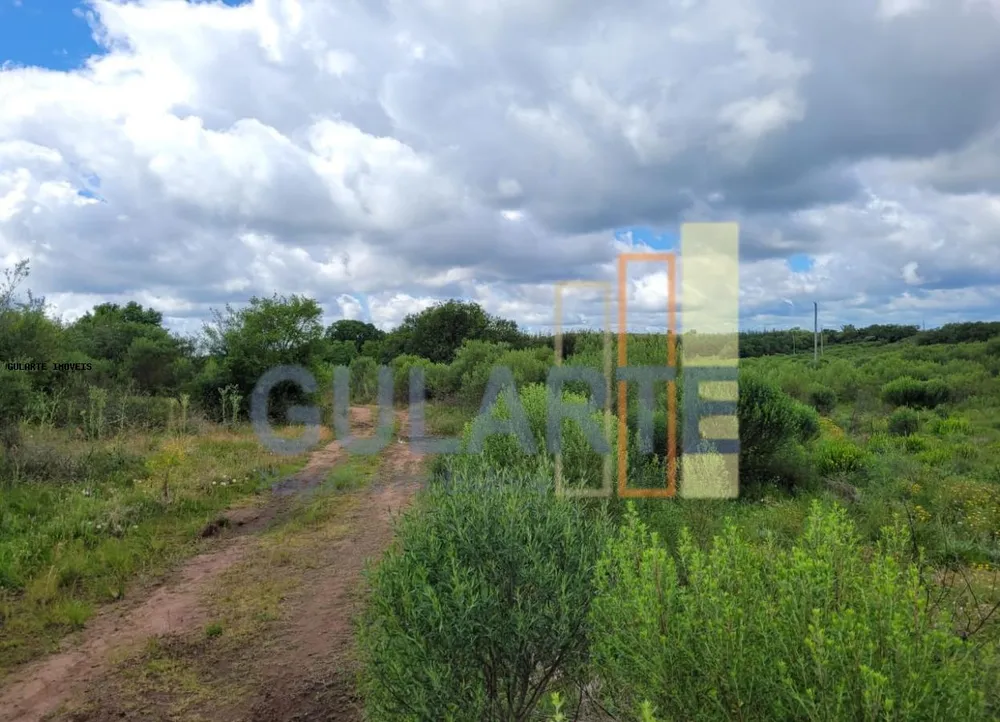 Fazenda, 1195 hectares - Foto 6