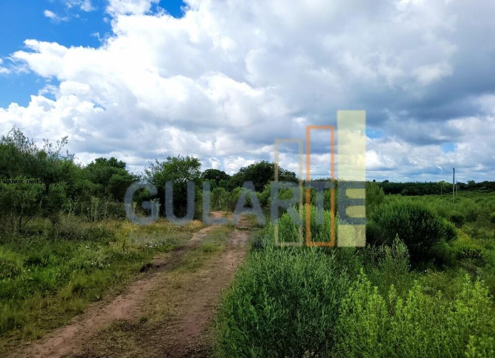 Fazenda à venda, 1195m² - Foto 2