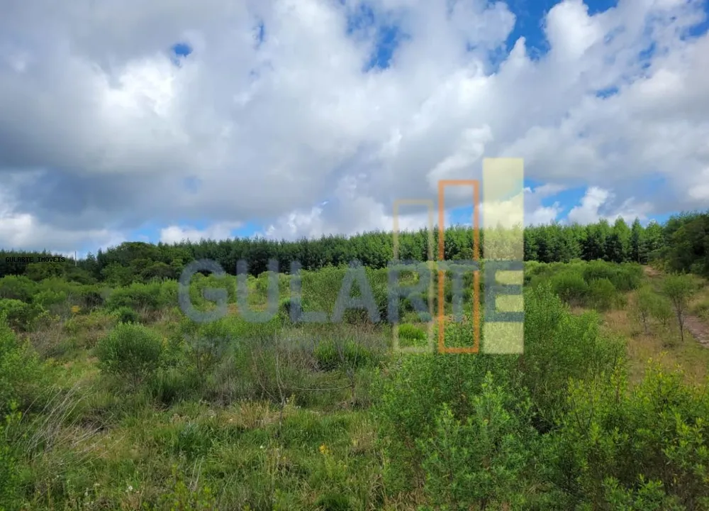 Fazenda, 1195 hectares - Foto 8