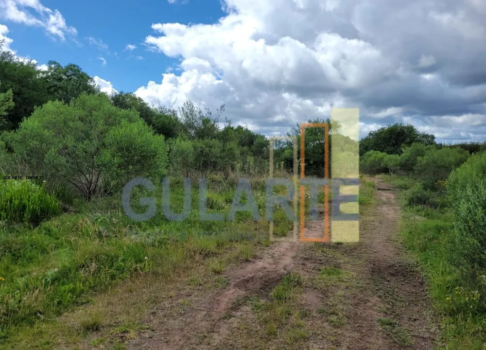 Fazenda, 1195 hectares - Foto 11