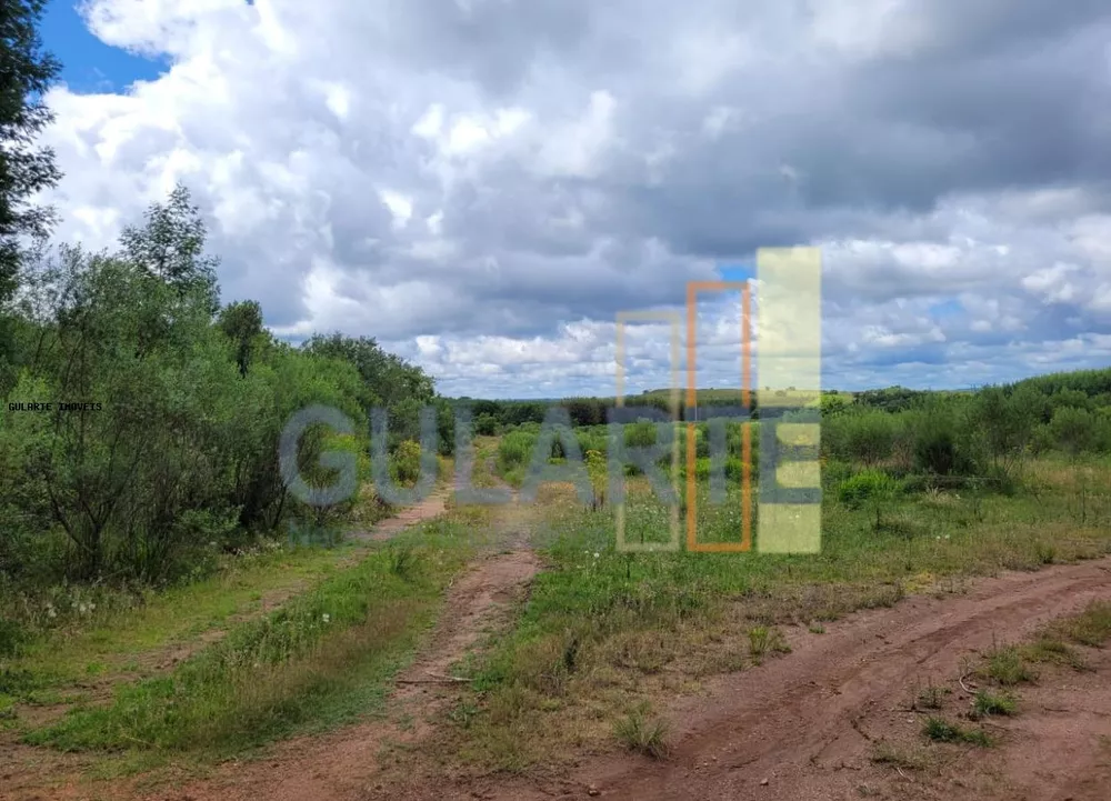 Fazenda, 1195 hectares - Foto 8