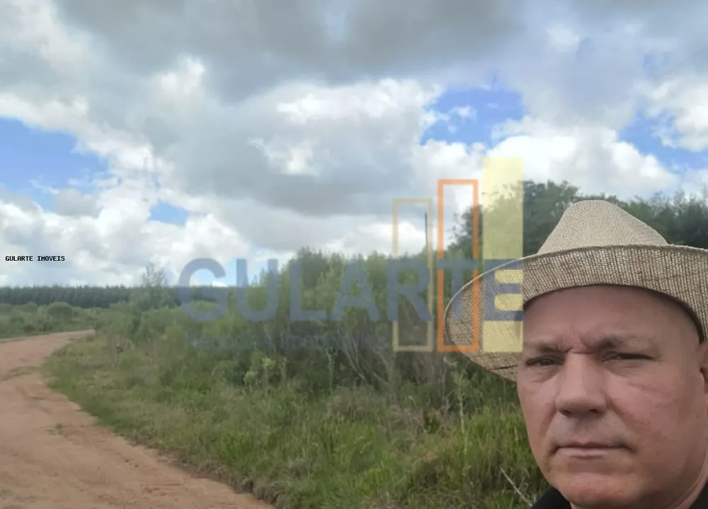 Fazenda, 1195 hectares - Foto 16