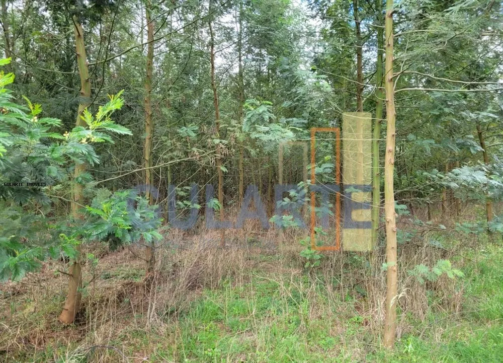 Fazenda, 1195 hectares - Foto 12