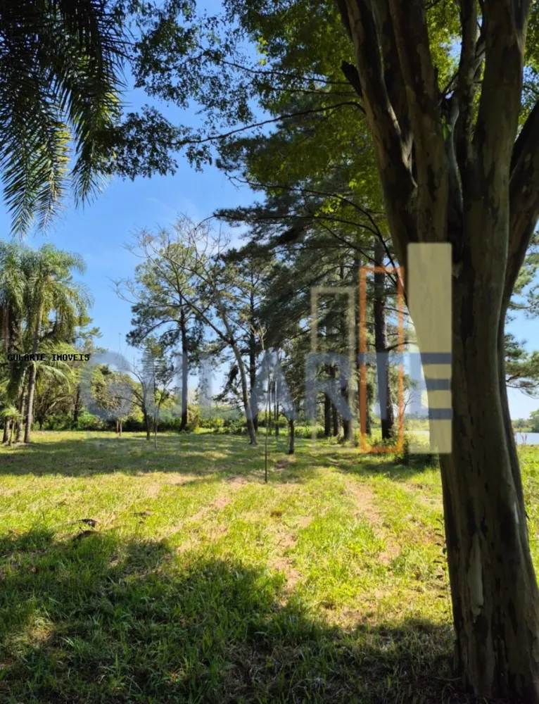 Fazenda, 98 hectares - Foto 7